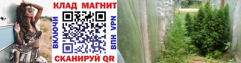 Хочу наркоту Волчанск Псилоцибиновые грибы  КОКАИН  A PVP  Гашиш  Канабис 