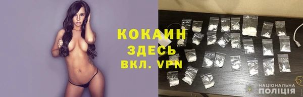 дживик Богородск