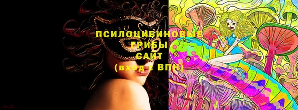 МДПВ Белокуриха