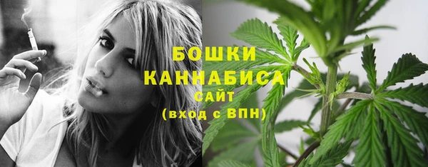 2c-b Богородицк