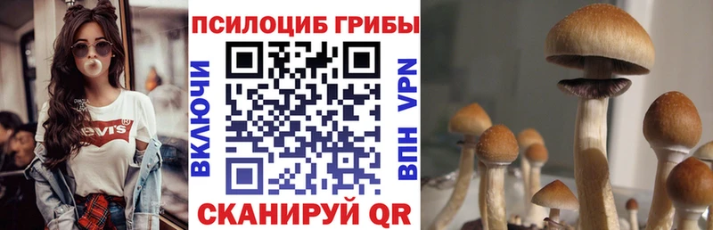 Псилоцибиновые грибы Cubensis  Волчанск 